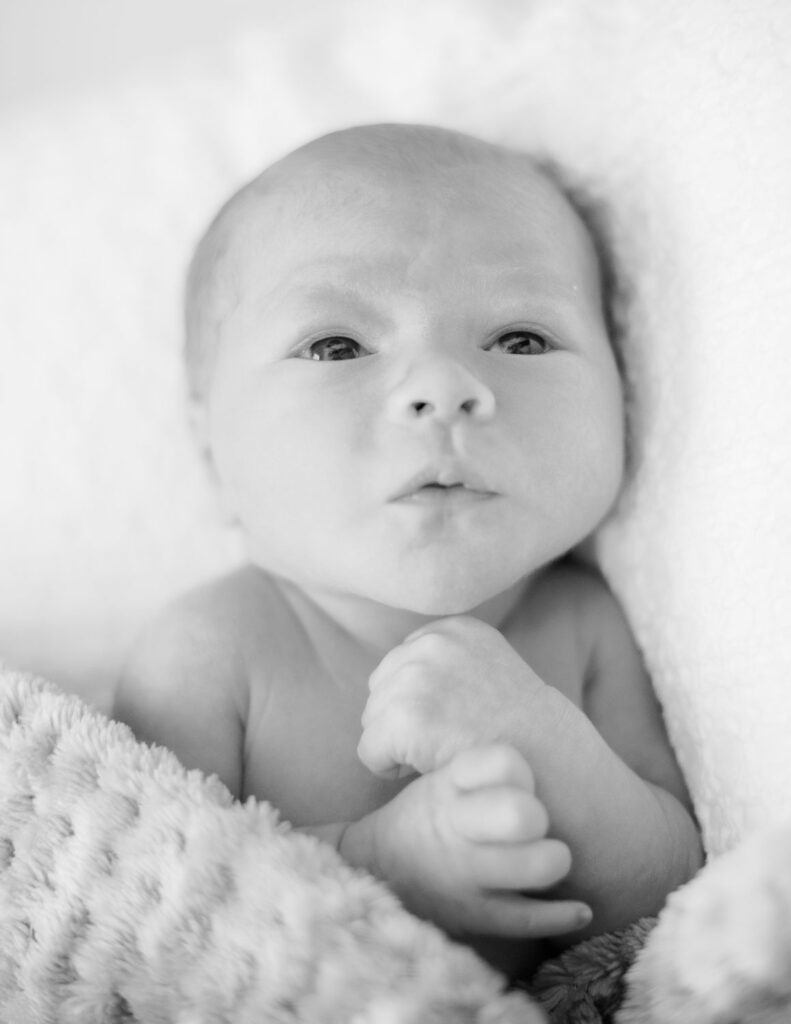 reno newborn home photo session
